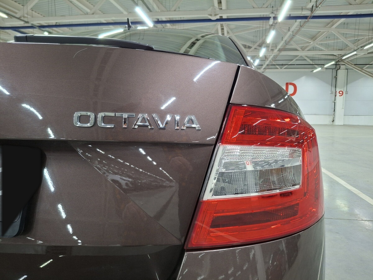 Skoda Octavia III (A7) Рестайлинг, 2020 Фото №9