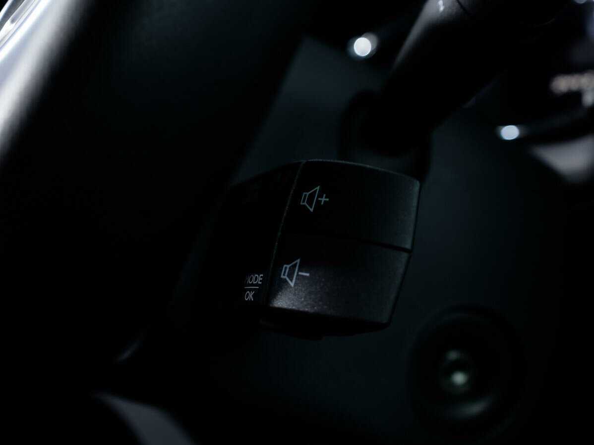 Renault Sandero Stepway, 2020 Фото №16