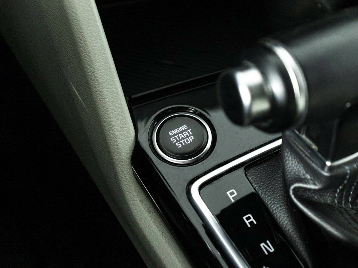 Kia Sportage V, 2022 Фото №18